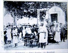 Oran- SDV- 0134